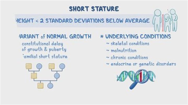 Ludwig's Stature And Its Impact